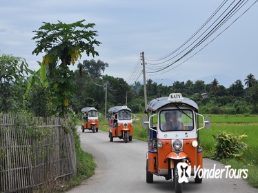 The Best One day Excursion in Northern Thailand (2019)